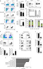 CD34 Antibody in Flow Cytometry (Flow)