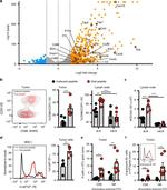 CD103 (Integrin alpha E) Antibody in Flow Cytometry (Flow)