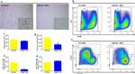 F4/80 Antibody in Flow Cytometry (Flow)