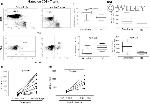 CD278 (ICOS) Antibody in Flow Cytometry (Flow)