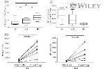 CD278 (ICOS) Antibody in Flow Cytometry (Flow)