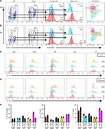 CD45R (B220) Antibody in Flow Cytometry (Flow)