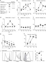 CD69 Antibody in Flow Cytometry (Flow)