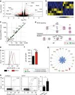 IL-33R (ST2) Antibody in Flow Cytometry (Flow)