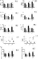 CD16 Antibody in Flow Cytometry (Flow)