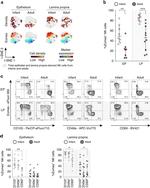 EOMES Antibody in Flow Cytometry (Flow)