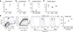 CD254 (RANK Ligand) Antibody in Flow Cytometry (Flow)