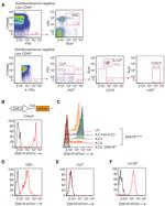 Ly-6A/E (Sca-1) Antibody in Flow Cytometry (Flow)