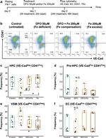 CD41a Antibody in Flow Cytometry (Flow)