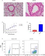 CD4 Antibody in Flow Cytometry (Flow)