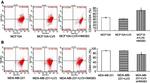 CD44 Antibody in Flow Cytometry (Flow)