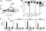 Estrogen Receptor beta Antibody in ChIP Assay (ChIP)