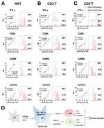 alpha GalCer:CD1d Complex Antibody in Flow Cytometry (Flow)