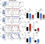 CD273 (B7-DC) Antibody in Flow Cytometry (Flow)