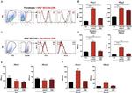 CD273 (B7-DC) Antibody in Flow Cytometry (Flow)