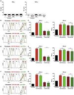 CD273 (B7-DC) Antibody in Flow Cytometry (Flow)