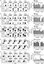 Ly-6G/Ly-6C Antibody in Flow Cytometry (Flow)