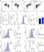 CD62L (L-Selectin) Antibody in Flow Cytometry (Flow)