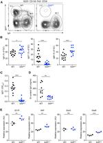 IgM Antibody in Flow Cytometry (Flow)