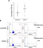 FOXP3 Antibody in Flow Cytometry (Flow)