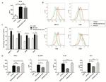 CD40 Antibody in Flow Cytometry (Flow)