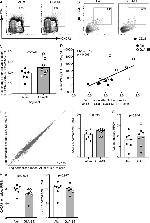 CD278 (ICOS) Antibody in Flow Cytometry (Flow)