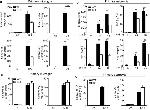 TNF alpha Antibody in ELISA (ELISA)