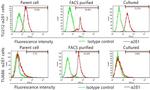 CACNA2D1 Antibody in Flow Cytometry (Flow)