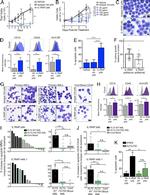 CD14 Antibody in Flow Cytometry (Flow)