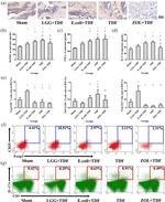 CD4 Antibody in Flow Cytometry (Flow)