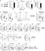 CD127 Antibody in Flow Cytometry (Flow)