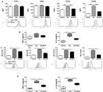 CD197 (CCR7) Antibody in Flow Cytometry (Flow)