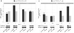 TXNIP Antibody in Western Blot (WB)