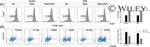 CD152 (CTLA-4) Antibody in Flow Cytometry (Flow)