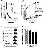 CD16/CD32 Antibody in Neutralization (Neu)