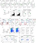 CD273 (B7-DC) Antibody in Flow Cytometry (Flow)