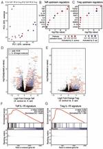 CD278 (ICOS) Antibody in Flow Cytometry (Flow)