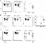 CD44 Antibody in Flow Cytometry (Flow)