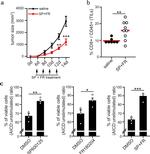 CD3 Antibody in T-Cell Activation (TCA)