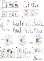 IRF8 Antibody in Flow Cytometry (Flow)