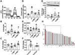 CD28 Antibody in T-Cell Activation (TCA)