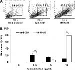 CD3 Antibody in Functional Assay (Functional)