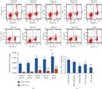 IL-17A Antibody in Flow Cytometry (Flow)