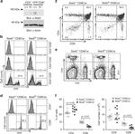 CD8a Antibody in Flow Cytometry (Flow)