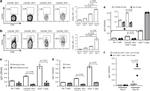 CD8a Antibody in Flow Cytometry (Flow)