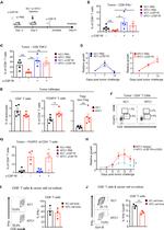 CD4 Antibody in Flow Cytometry (Flow)