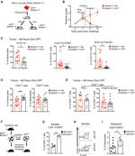 CD44 Antibody in Flow Cytometry (Flow)