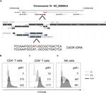 CD8a Antibody in Flow Cytometry (Flow)