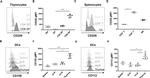 CD8a Antibody in Flow Cytometry (Flow)