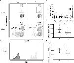 CD8a Antibody in Flow Cytometry (Flow)